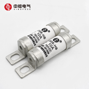 中熔电力熔断器RS308-HB-4G10/16/20/32/40A 高压熔断器保险丝
